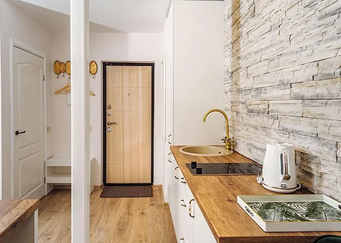 Rbroom Apartman Vilnius